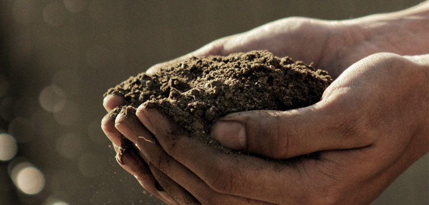 G8全自動(dòng)石墨消解儀對(duì)土壤中Cd、Cr、Cu、Pb、Ni、Zn金屬消解方案