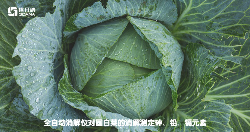 全自動消解儀對圓白菜的消解測定砷、鉛、鎘元素