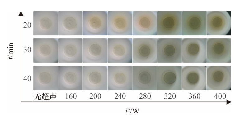 不同密閉消解時間、不同超聲功率的消解效果